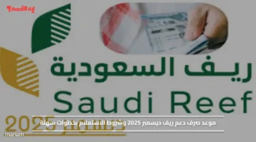موعد صرف دعم ريف ديسمبر 2025 وشروط الاستعلام بخطوات سهلة